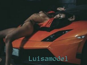 Luisamodel