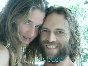 Luvbugs