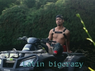 Latin_bigcrazy