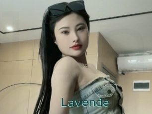Lavende