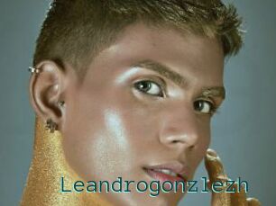 Leandrogonzlezh