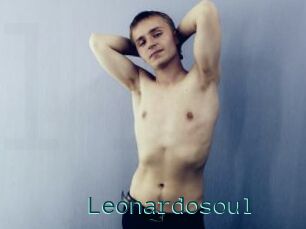 Leonardosoul