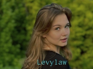 Levylaw