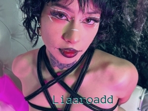 Liaaroadd