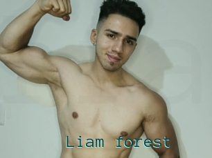Liam_forest
