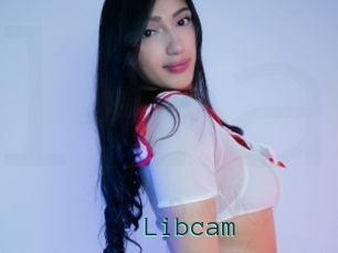Libcam