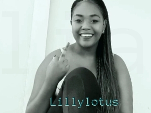 Lillylotus