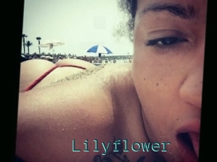 Lilyflower