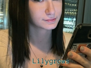 Lilygrows