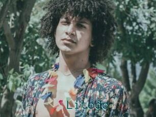 Litodc