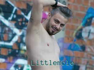 Littlemole
