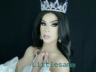 Littlesamm