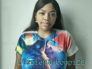 Lizziehamtonp123