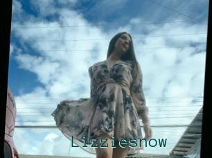 Lizziesnow