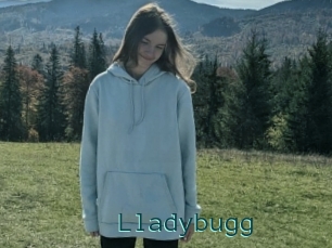 Lladybugg