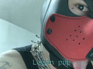 Logan_pup
