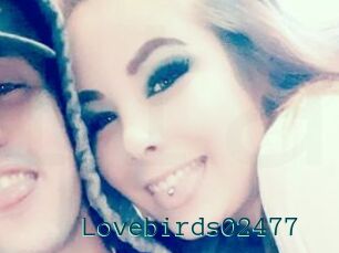 Lovebirds02477