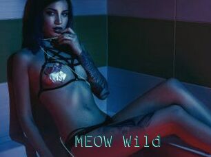 MEOW_Wild