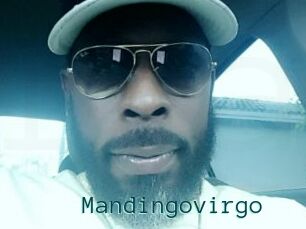 Mandingovirgo