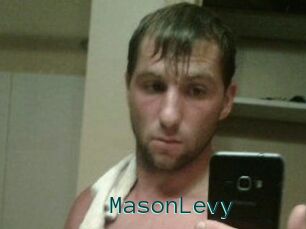 Mason_Levy