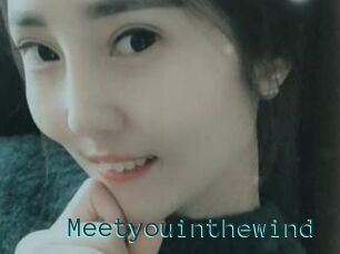 Meetyouinthewind