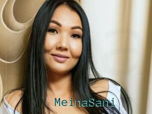 MeinaSani