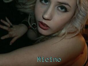 Micino