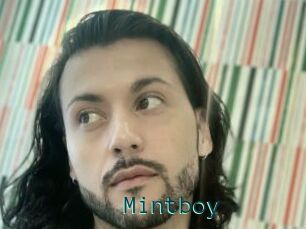 Mintboy