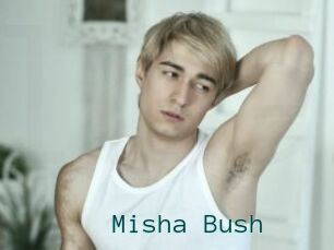 Misha_Bush