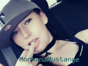 MontanaMustange