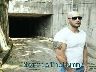 MorrisTheHumme