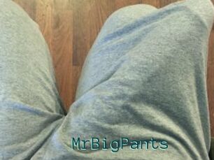 MrBigPants