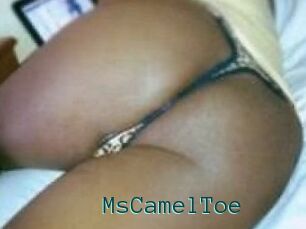 MsCamelToe