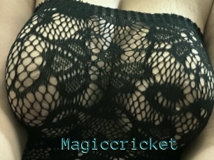 Magiccricket