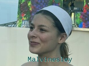 Malvinesley