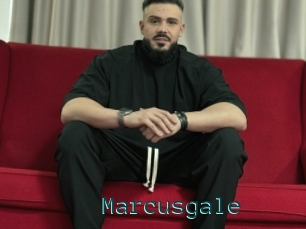 Marcusgale