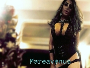 Mareavenus