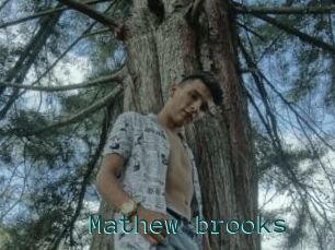 Mathew_brooks