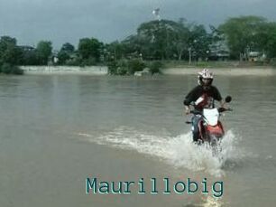 Maurillobig