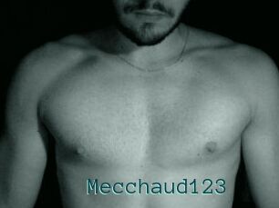 Mecchaud123