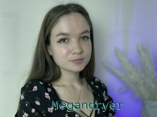 Megandryer