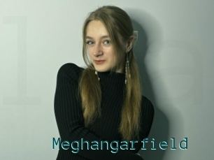 Meghangarfield
