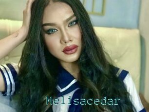 Melisacedar