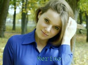 Merino
