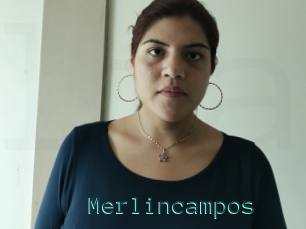 Merlincampos