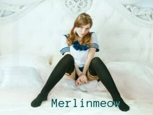 Merlinmeow