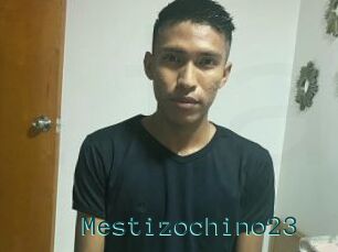 Mestizochino23