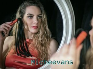 Micheevans