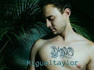 Migueltaylor