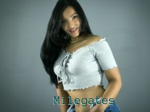 Milegates